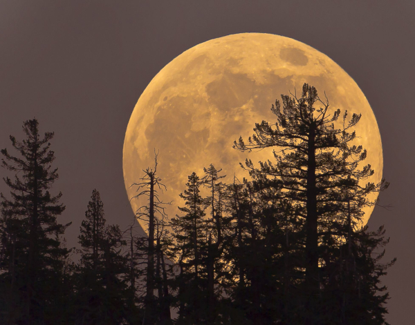 Full Hunters Moon!